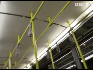 Чешский охотник 174