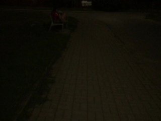 Поймана на развлечениях в парке