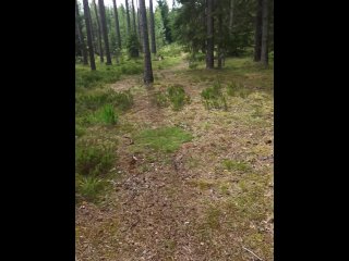 Мой друг мастурбирует в общественном месте в лесу